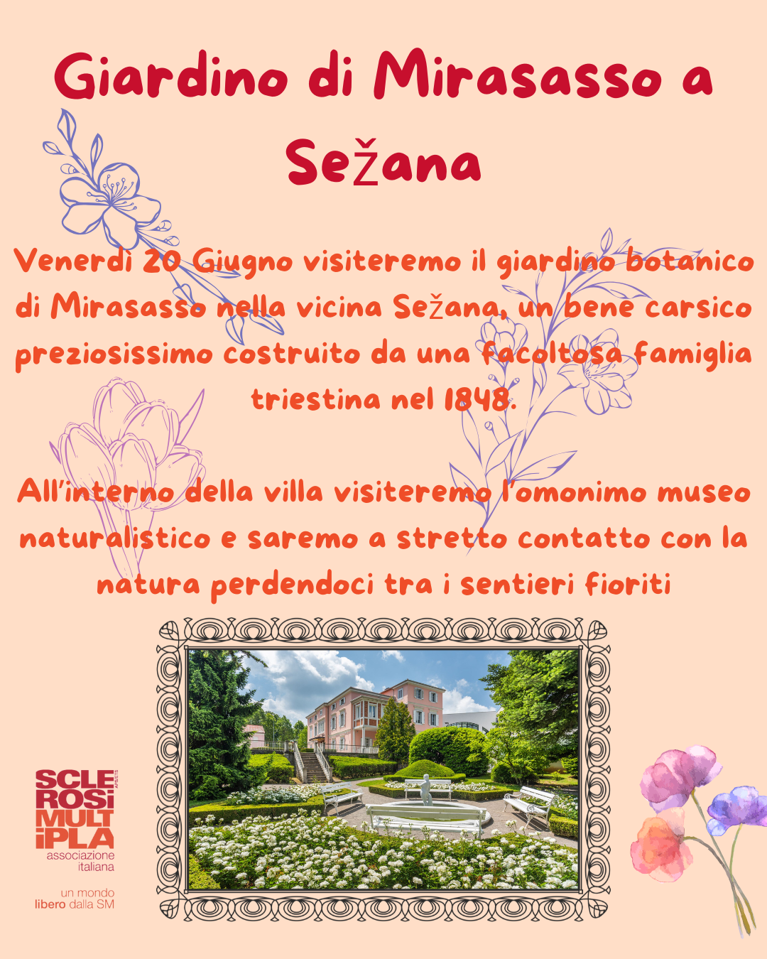 sezana