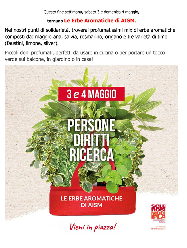 erbe aromatiche