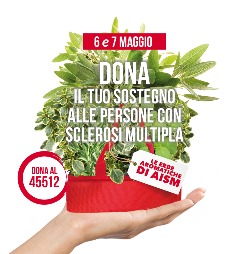 LOCANDINA CON PIANTE AROMATICHE VERDI( ROSMARINO, SALVIA, MAGGIORANA E TIMO) IN UN CESTINO ROSSO.