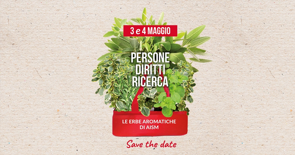 Erbe aromatiche