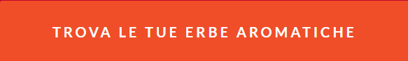 erbe aromatiche