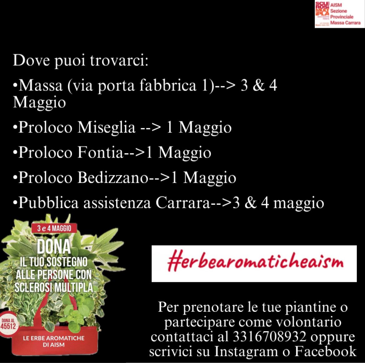 Erbe_Piazze