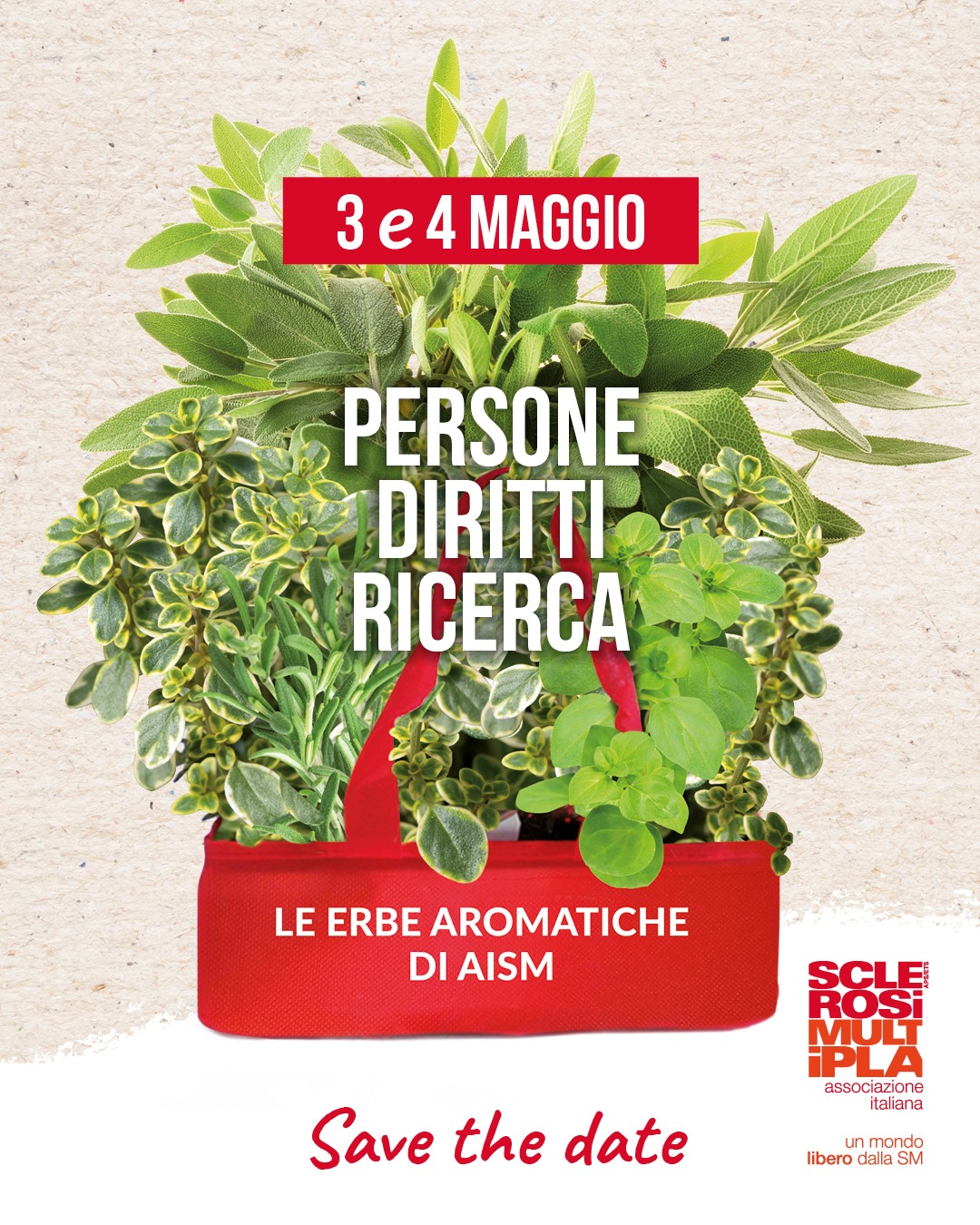 Erbe Aromatiche 2025