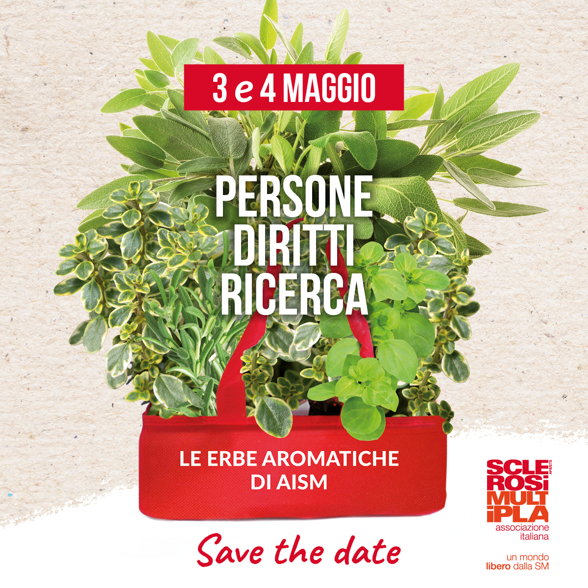 erbe aromatiche