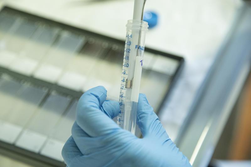 Laboratorio Ospedale San Raffaele - Milano