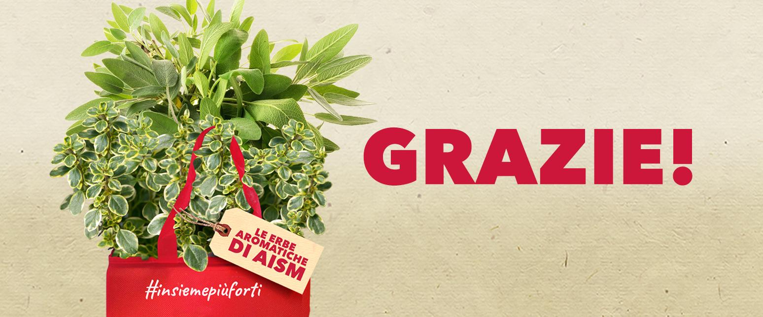 Grazie Erbe aromatiche di AISM 2020 Grazie Erbe aromatiche di AISM 2020