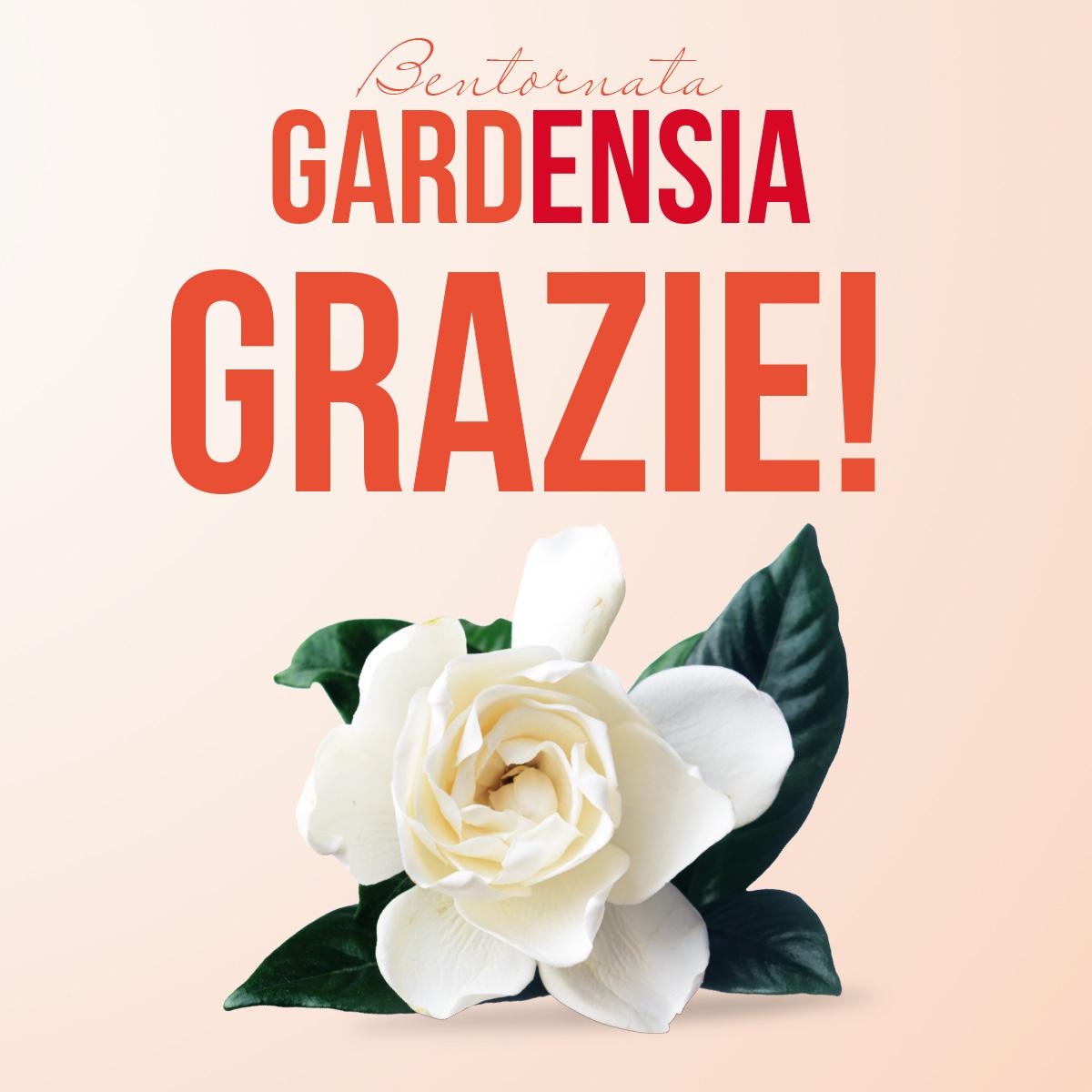 Bentornata Gardensiaa Bentornata Gardensia