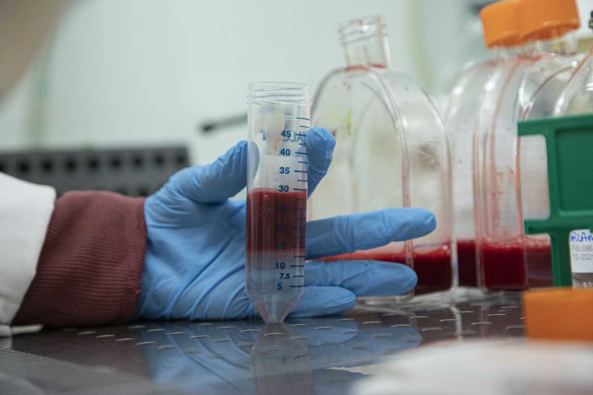 laboratorio laboratorio